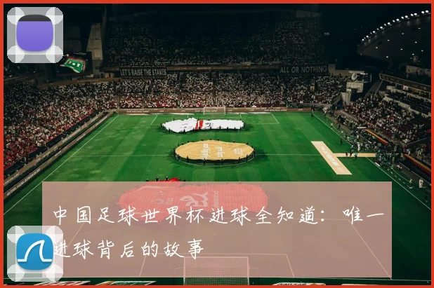 中国足球世界杯进球全知道：唯一进球背后的故事