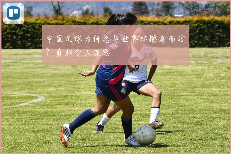 中国足球为何总与世界杯擦肩而过？真相令人深思
