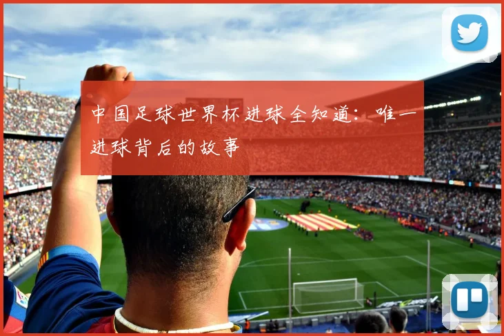 中国足球世界杯进球全知道：唯一进球背后的故事